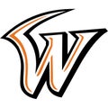 Sk wyverns sports logo